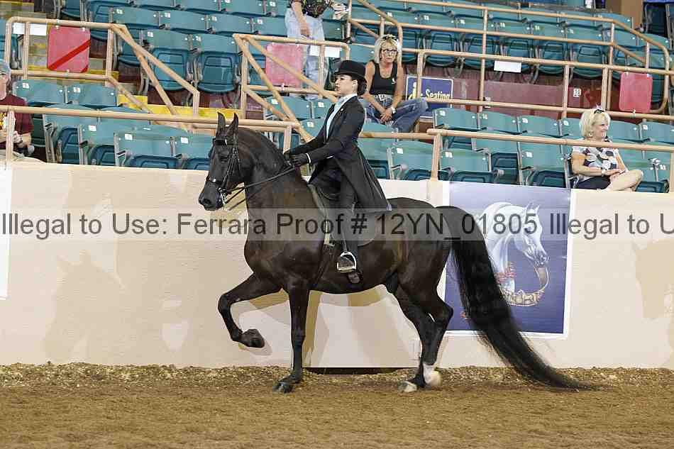 Proof 12yn_01805
