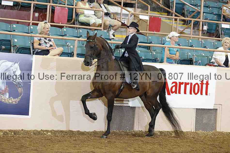 Proof 12yn_01807