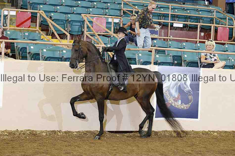 Proof 12yn_01808