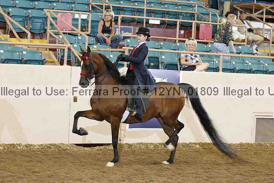 Proof 12yn_01809