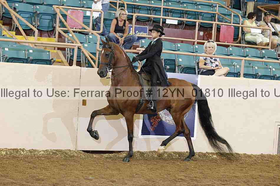 Proof 12yn_01810
