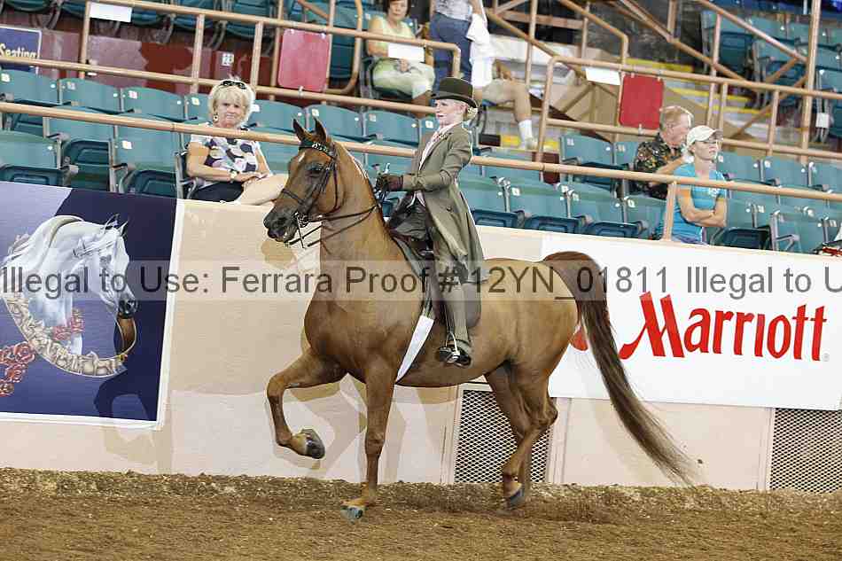 Proof 12yn_01811