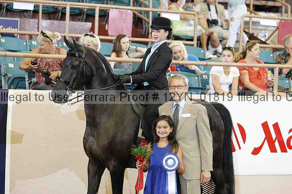 Proof 12yn_01819