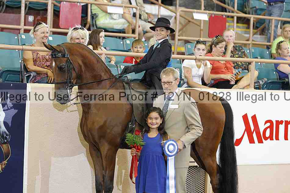 Proof 12yn_01828