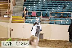 12yn_01845 proof