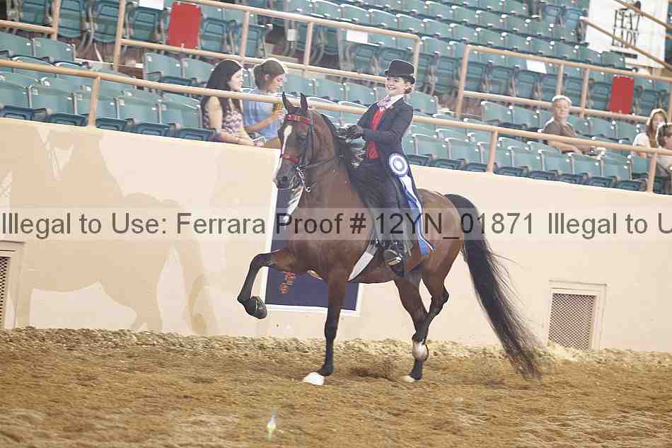 Proof 12yn_01871
