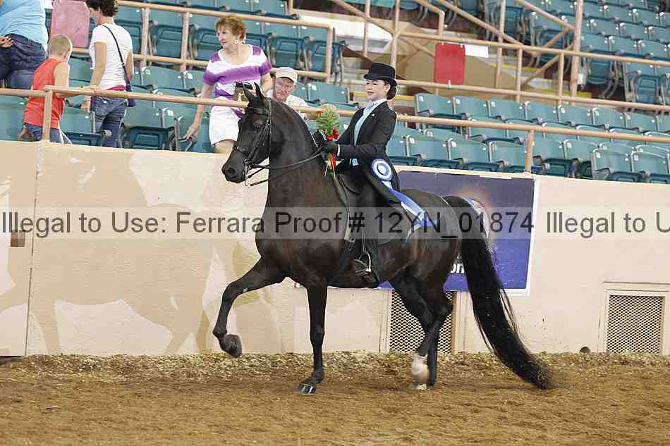 Proof 12yn_01874