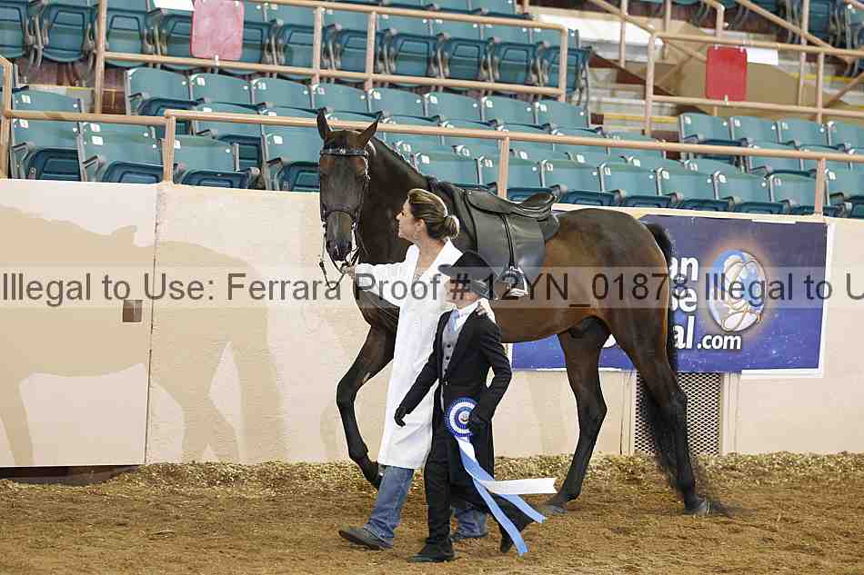 Proof 12yn_01878