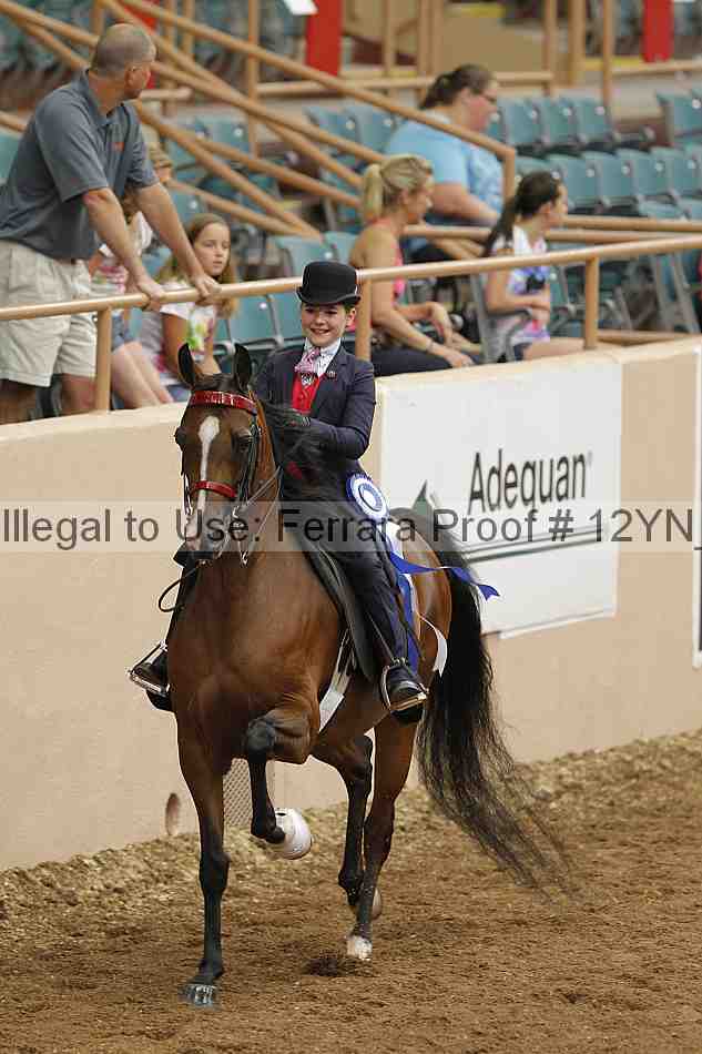 Proof 12yn_01880