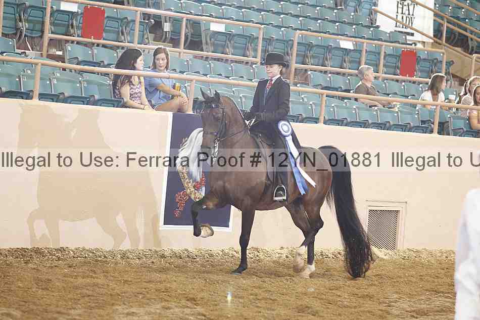 Proof 12yn_01881