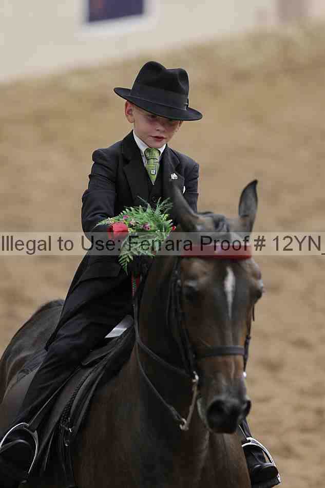 Proof 12yn_01882
