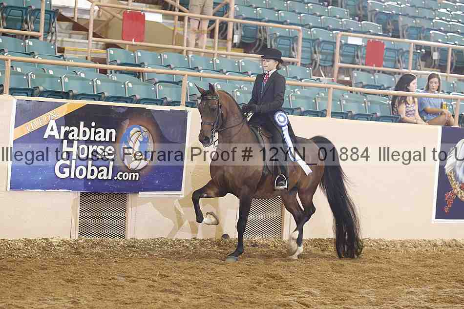 Proof 12yn_01884