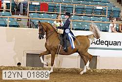 12yn_01889 proof
