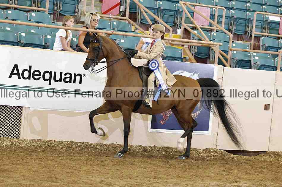 Proof 12yn_01892