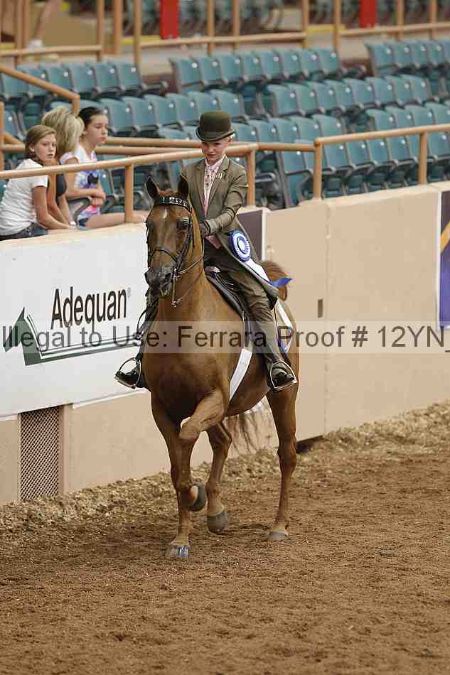 Proof 12yn_01895