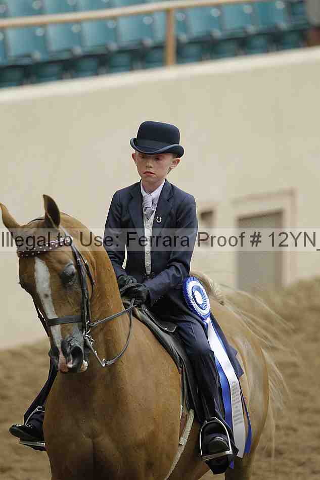 Proof 12yn_01899