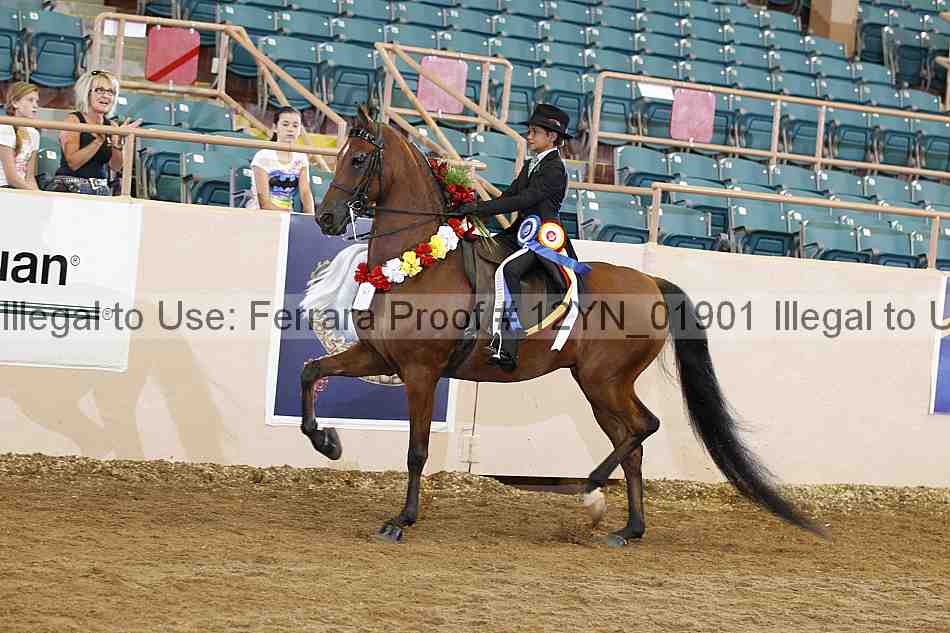 Proof 12yn_01901