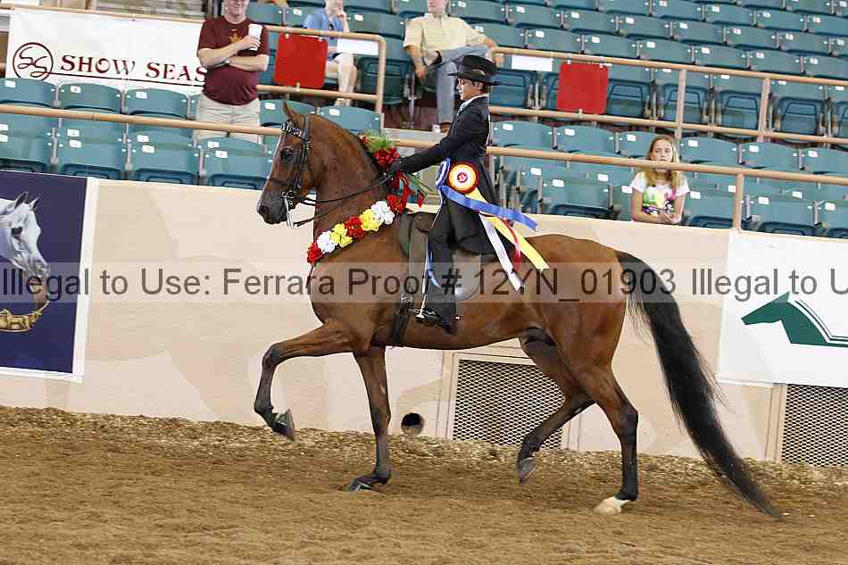 Proof 12yn_01903
