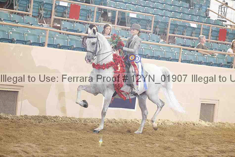 Proof 12yn_01907