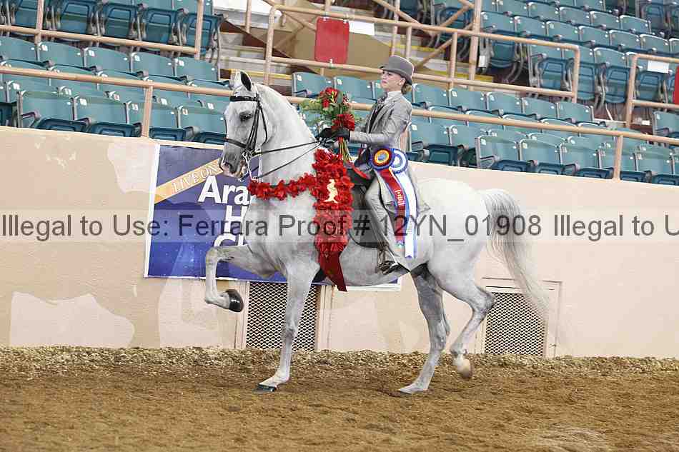 Proof 12yn_01908