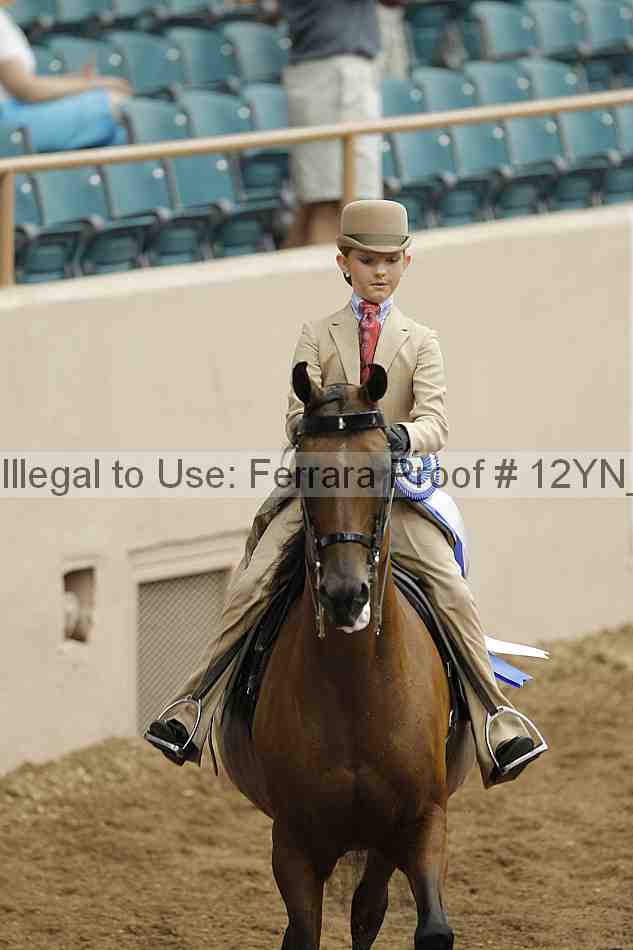 Proof 12yn_01909