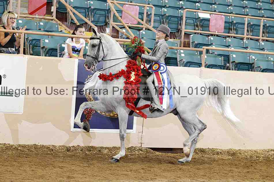 Proof 12yn_01910
