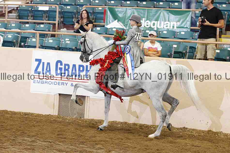 Proof 12yn_01911
