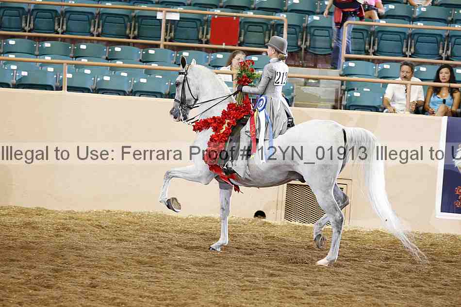 Proof 12yn_01913
