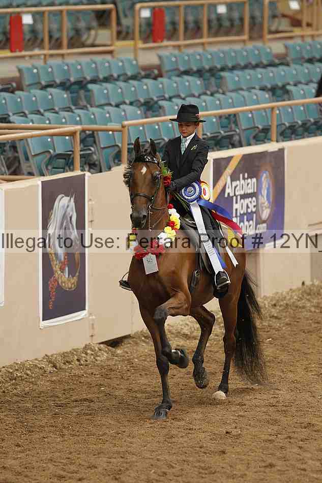 Proof 12yn_01914