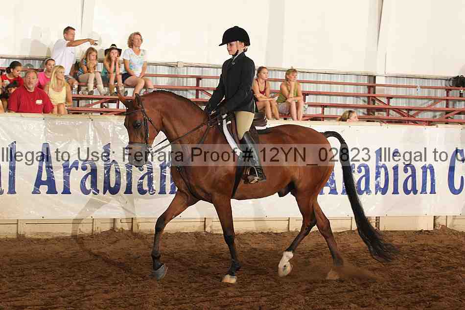 Proof 12yn_02823