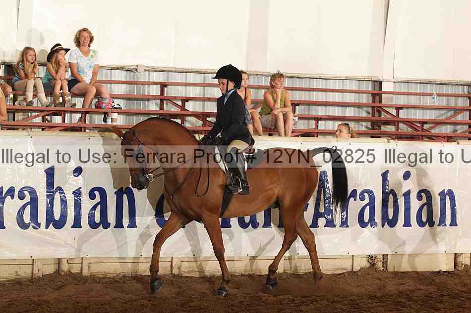 Proof 12yn_02825