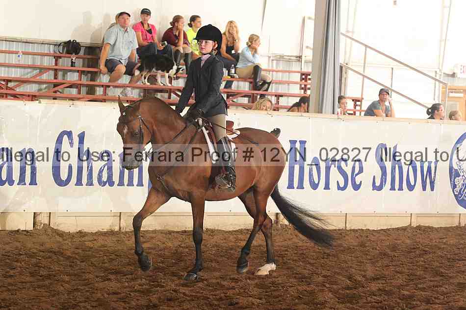 Proof 12yn_02827