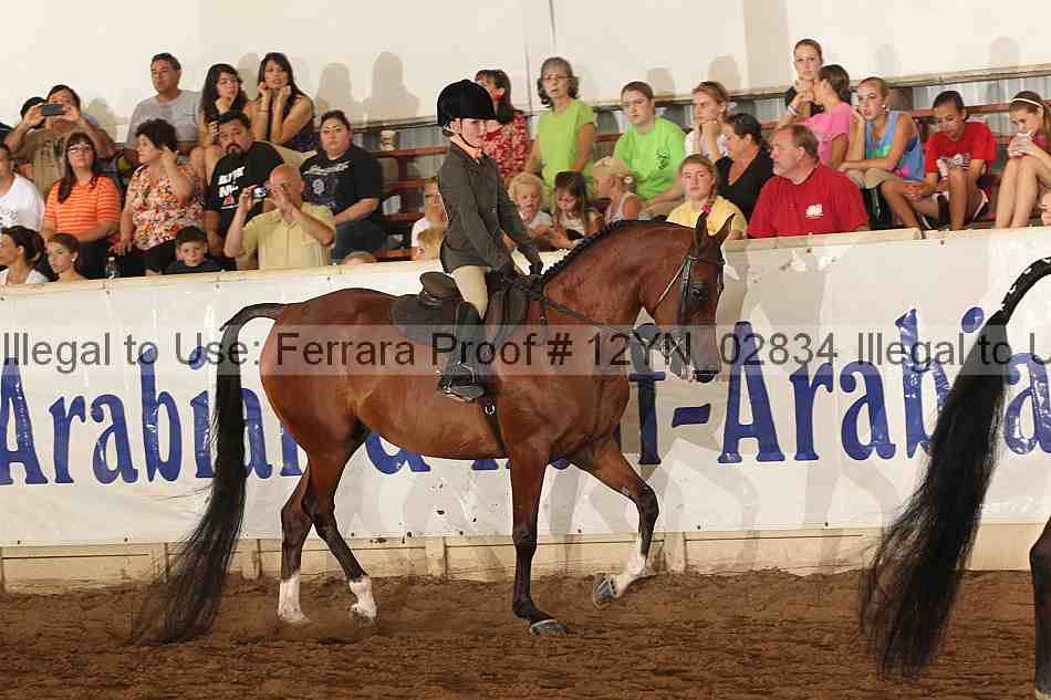 Proof 12yn_02834
