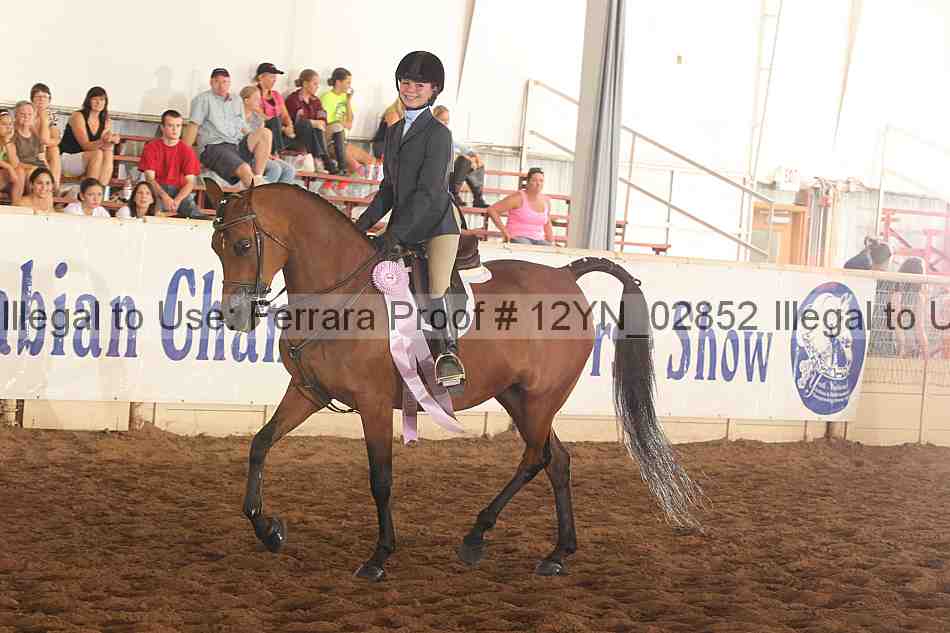 Proof 12yn_02852