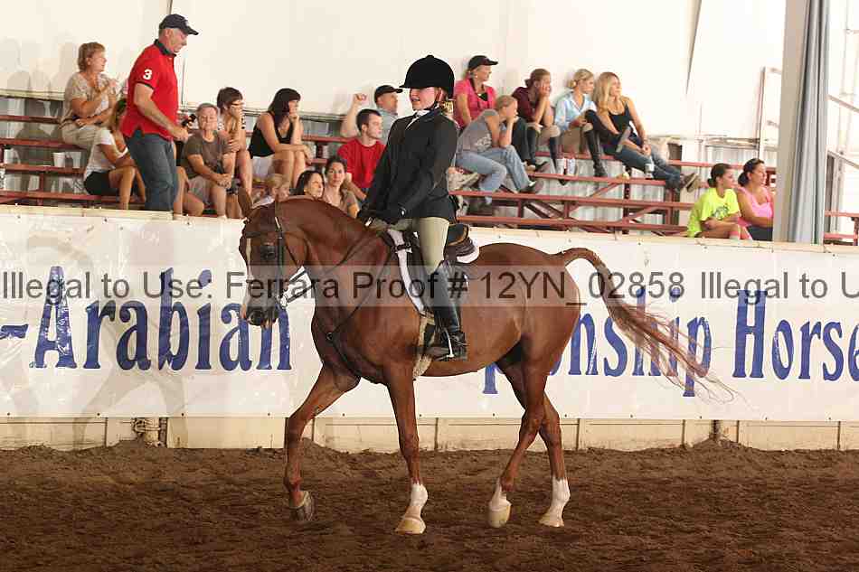 Proof 12yn_02858