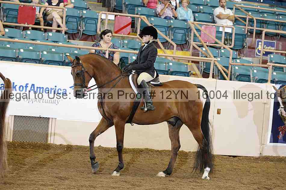 Proof 12yn_16004