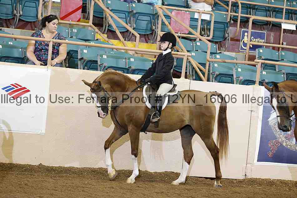 Proof 12yn_16006