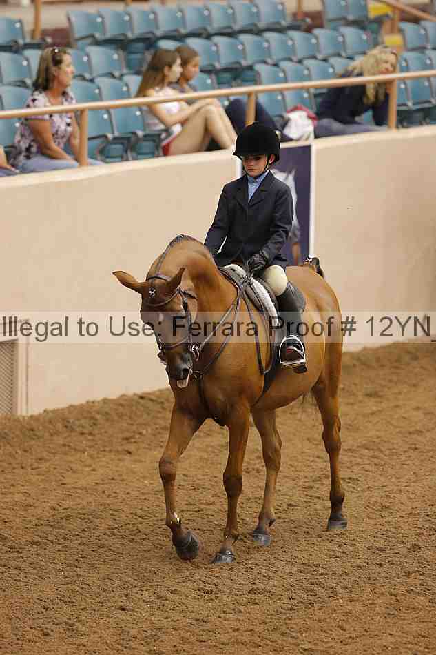 Proof 12yn_16008