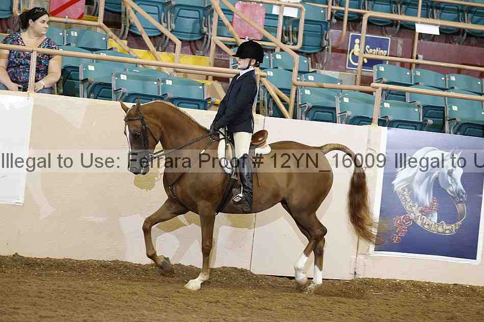 Proof 12yn_16009
