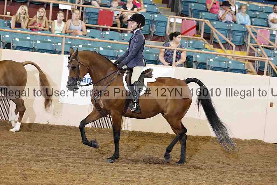 Proof 12yn_16010