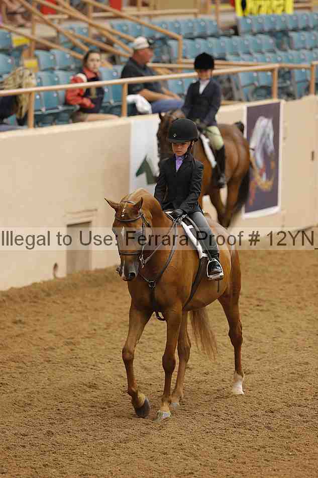 Proof 12yn_16011