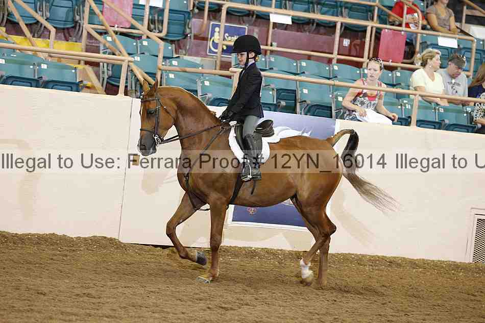 Proof 12yn_16014