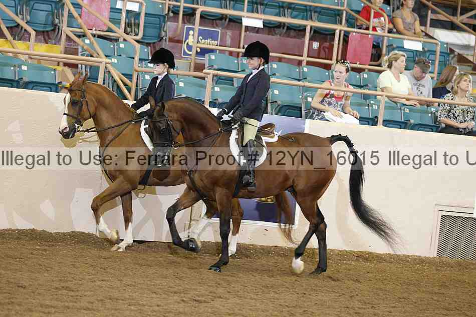 Proof 12yn_16015