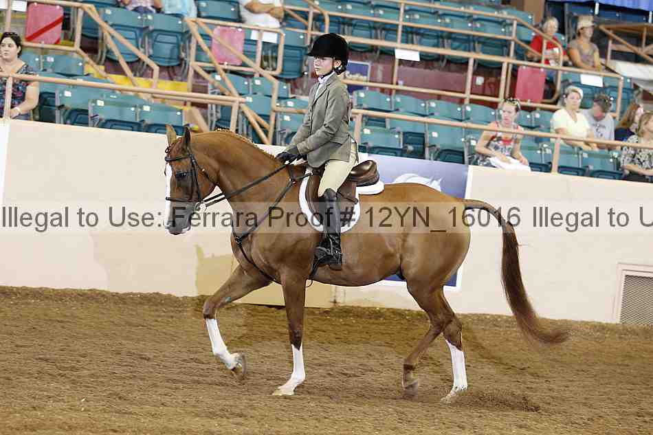 Proof 12yn_16016