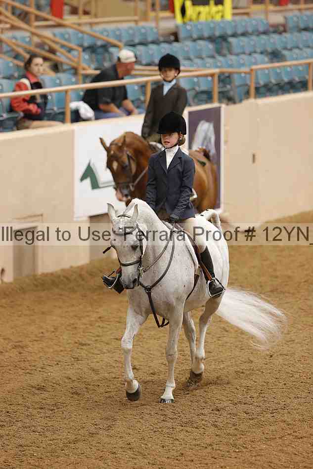 Proof 12yn_16018