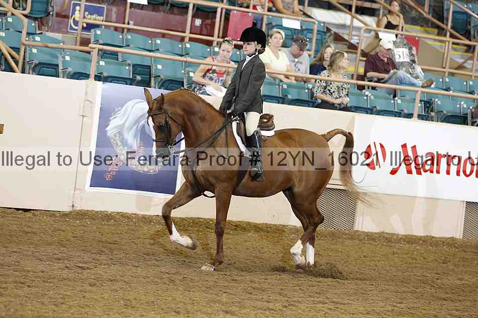 Proof 12yn_16021