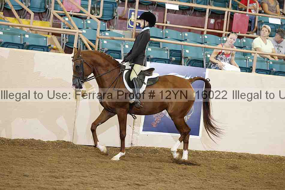 Proof 12yn_16022