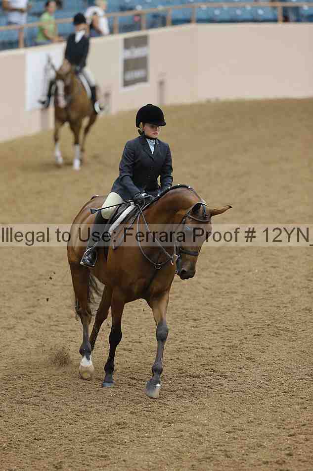 Proof 12yn_16024