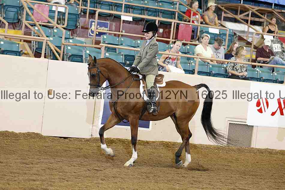 Proof 12yn_16025