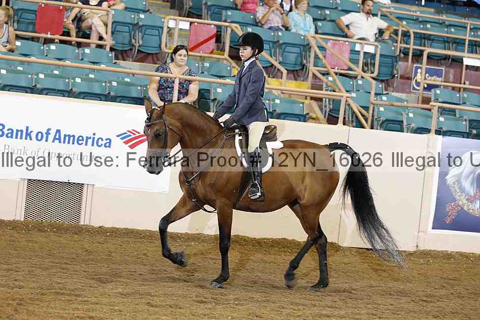 Proof 12yn_16026